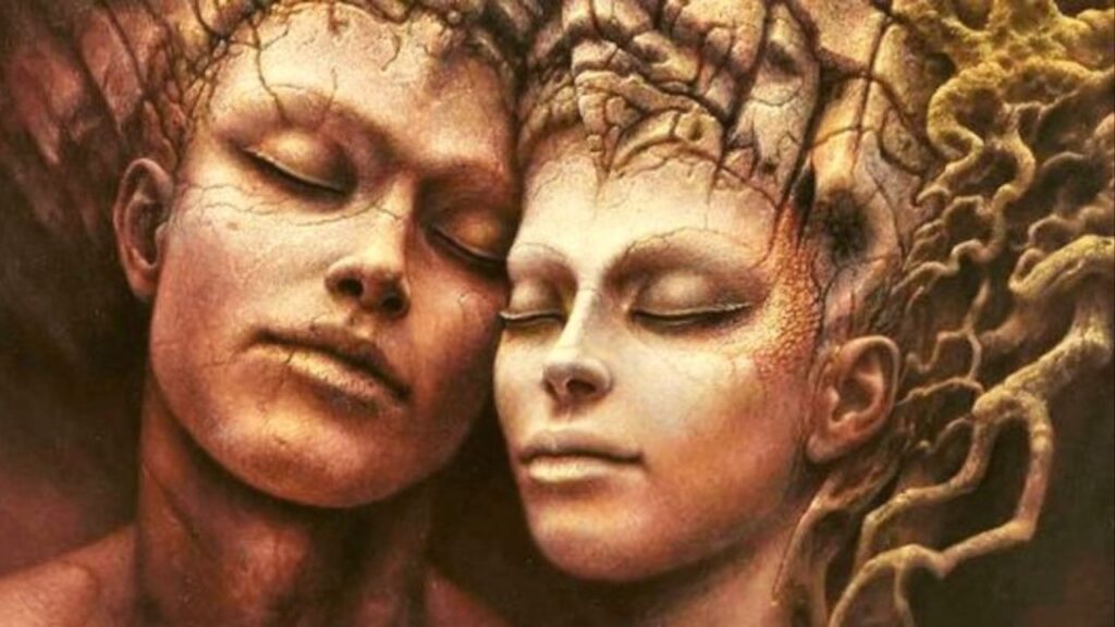 16-signs-of-a-twin-flame-connection-hippos-spirit