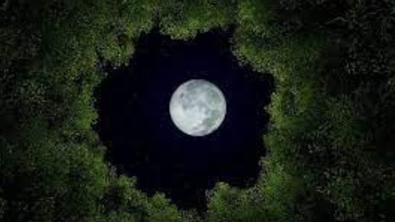 The Spiritual Meaning of the July Full Moon Hippos Spirit